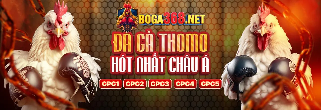 Giao diện ứng dụng CWIN88 trên điện thoại di động
